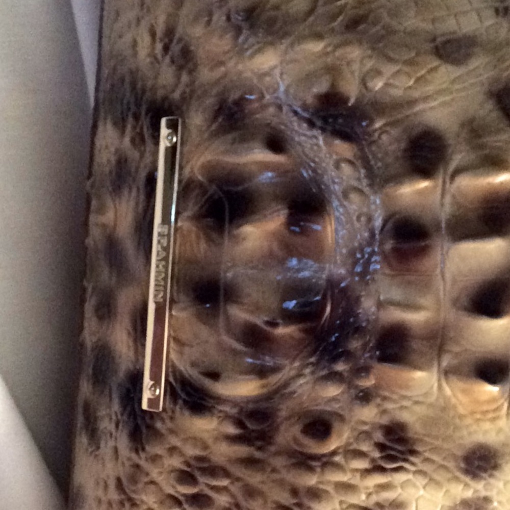 Brahmin purse
